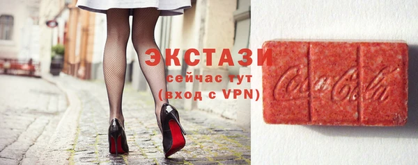 ECSTASY Бородино